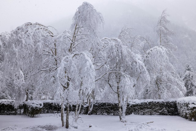 Stoom je tuin klaar voor de winterperiode
